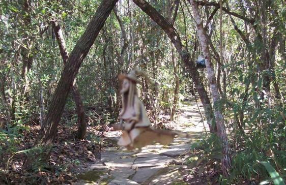 Chales City Camael Sao Tome das Letras Ngoại thất bức ảnh